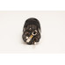 TAGA HARMONY TPC-SP / TPC-C