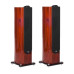 TAGA HARMONY Platinum F-100SE