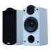 TAGA HARMONY Platinum B-40 SE